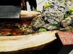 -一盃山水咖啡茶馆