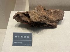 -安徽省地质博物馆