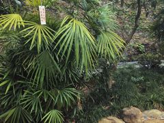 -融汇温泉