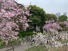 -堤角公园