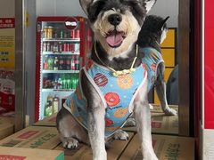 -乖乖宠物医院·猫科·骨科·24小时(云岗分院)