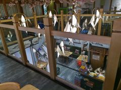 -兔行天下-鸿鹤鲜锅兔(中海国际店)