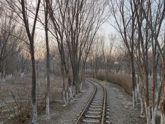 -西青郊野公园