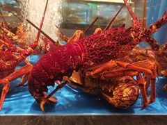 -上和臻品中国菜(花园街店)