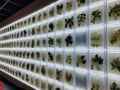-广东中医药博物馆