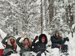 -亚布力新体委滑雪场