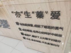 点击看大图 -Cocodemer女性健康·产后恢复(天一广场店)