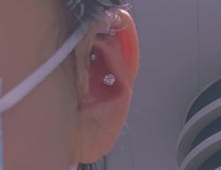 -花师傅