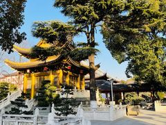 -上海东林寺(金山区)