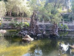 -国恩寺