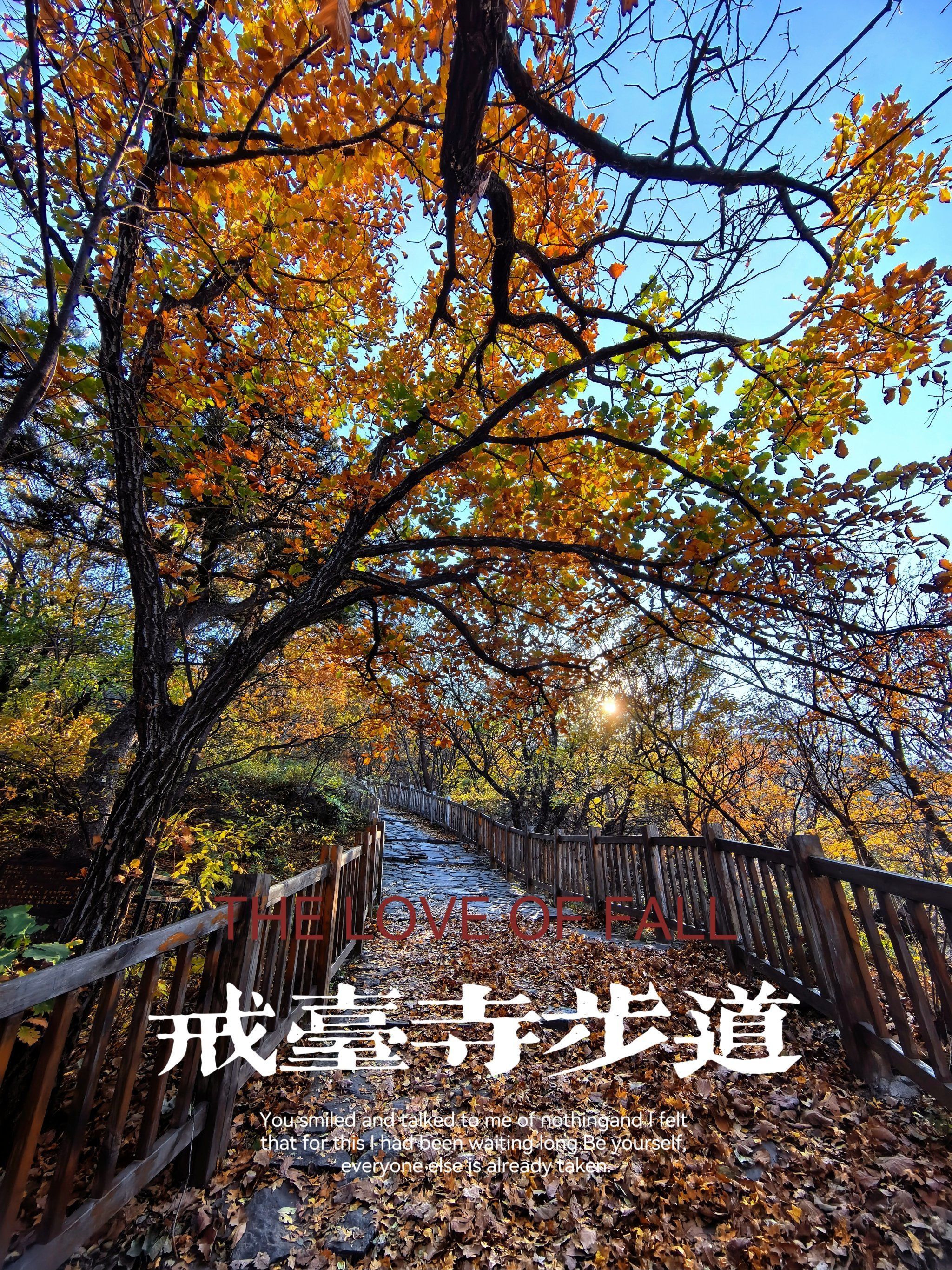 北京门头沟戒台寺后山步道沿途可见各路神仙-百货之家