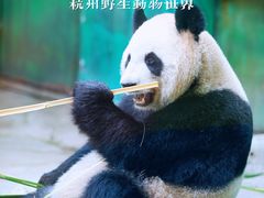 -杭州野生动物世界