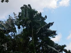 -呀诺达热带雨林