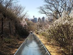-富斯特索道