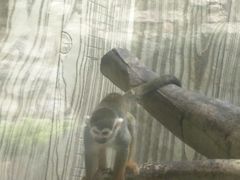 -黔灵山公园-南门售票处