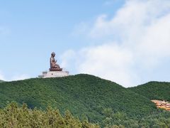 -峡谷浮石林景区