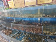 -蟹谢蒸鲜自助餐厅