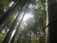 -桐君山春江扬帆码头