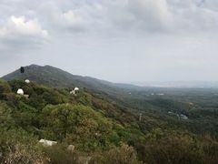 -紫金山山顶公园