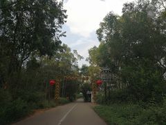 -扬美古镇景区