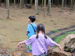 -陶祖圣境风景区