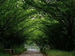 -春暖花开(西溪店)