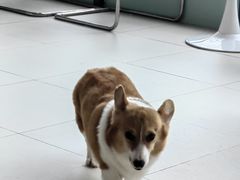 -怪兽屋·羊驼·猫咖·狗咖(俊华广场店)