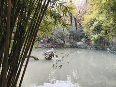 -汇龙潭