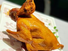 -大鸽饭(体育西路店)
