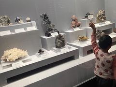 -湖南省地质博物馆