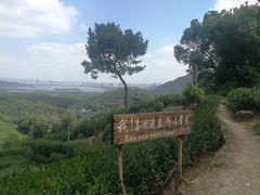 -杭州少年儿童公园
