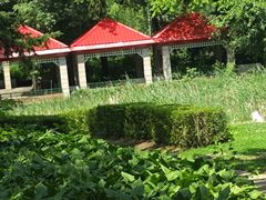 -黑龙江省森林植物园