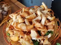 -易门野生菌府·菌海森林(月牙潭公园店)