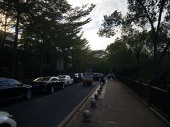 -大屏嶂森林公园