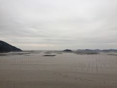 -北岐滩涂