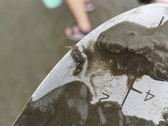 -南汇新城海滩