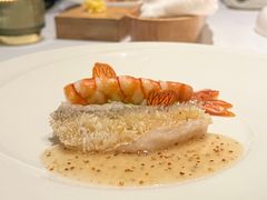 -蝶舍·MAISON PAPILLON