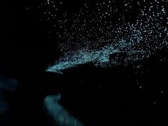 -怀托摩萤火虫洞