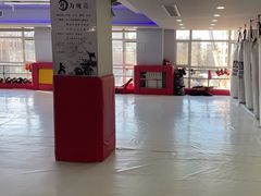 -津武堂散打搏击俱乐部(河西店)
