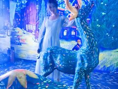 -天津梵高星空艺术馆(天河城旗舰店)