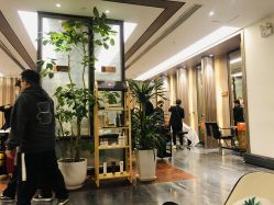 -扎嘎形象设计