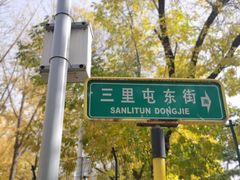 -三里屯东五街银杏大道