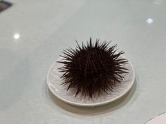 -常鲜楼常来尝鲜海胆馆(星海店)
