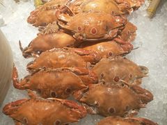 -美食汇自助餐厅(兰州万达文华酒店)
