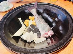 铁锅炖鱼-鸽子刘铁锅炖鱼(劲松店)
