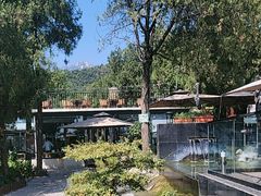 -蘇河湾·新鲁菜·泰山宴(泰山店)