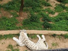 -云南野生动物园