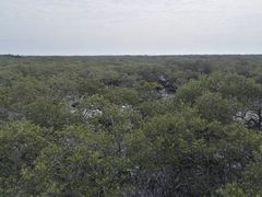 -北海金海湾红树林生态旅游区