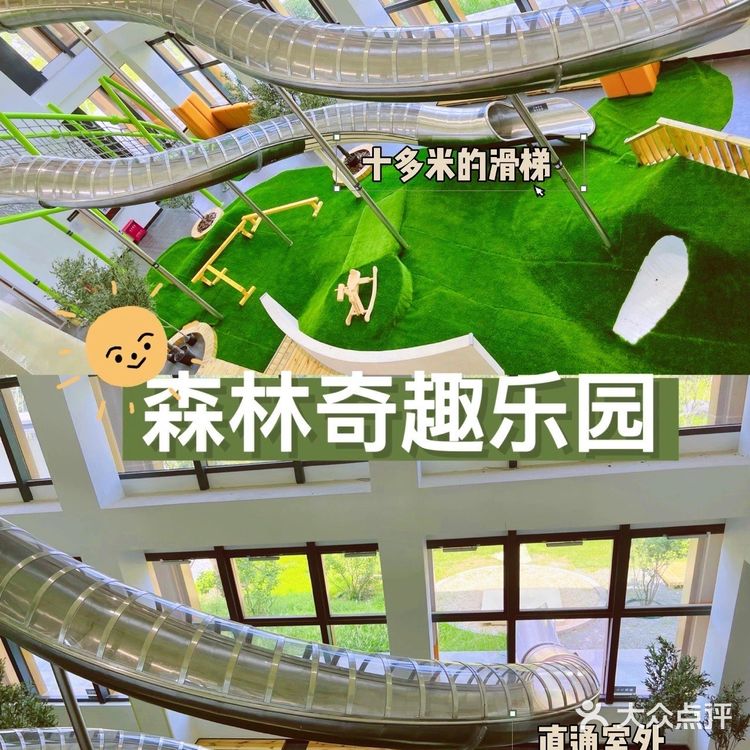 北京遛娃 |森林奇趣乐园🦌与小鹿一起奔跑