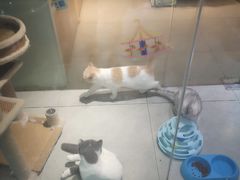 -7mall美食潮地标
